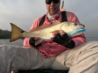 20" Redfish on 20240429